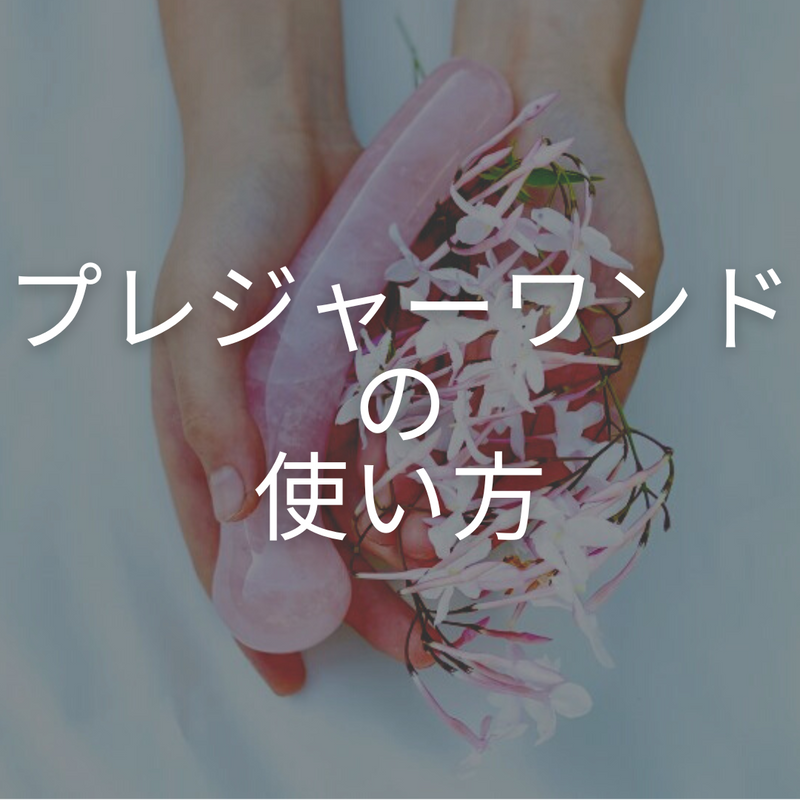 初心者版　「プレジャーワンド」の使い方