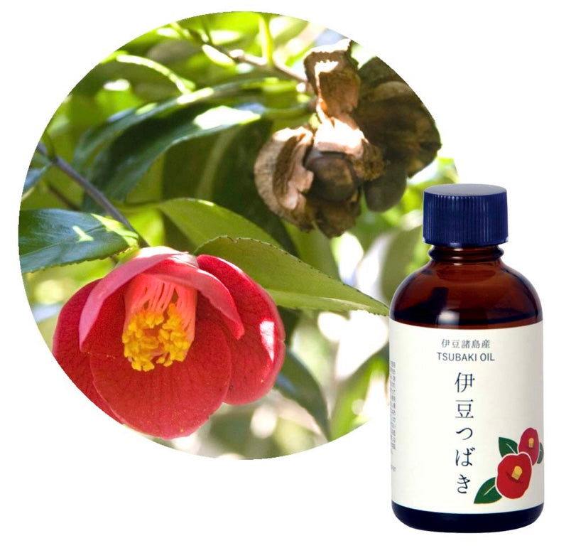 伊豆つばき　tsubaki oil